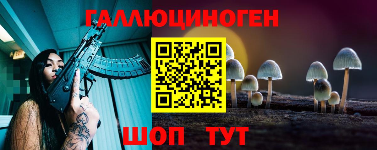 Псилоцибиновые грибы MAGIC MUSHROOMS  купить   Новокузнецк  Вход с VPN 
